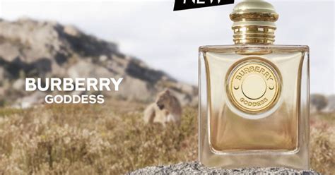 burberry free sample